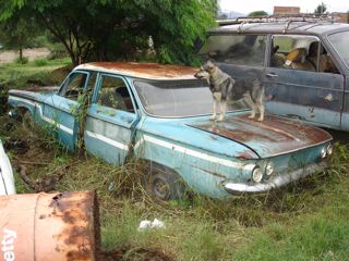 View of rear as found in junk yard