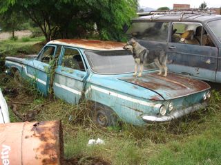 View of rear as found in junk yard