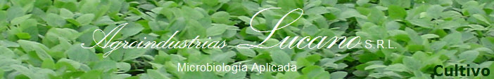 Cultivo