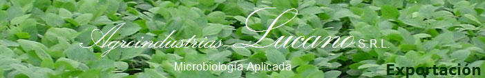 Exportacin