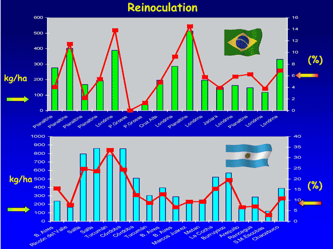 reinoculacion