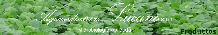 Productos