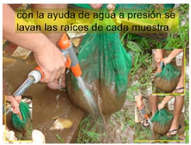 paso-10a