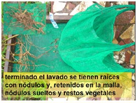 paso-11a