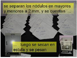 paso-14a