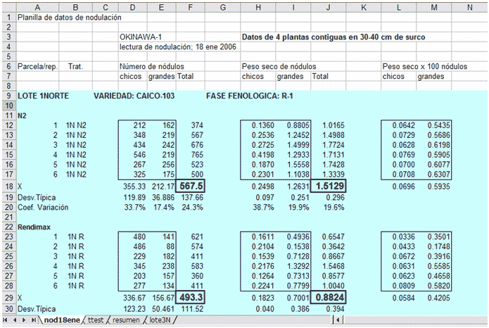paso-15a