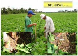 paso-3a
