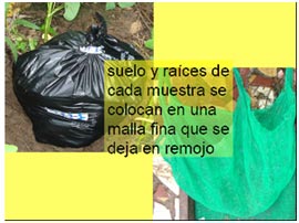 paso-9a